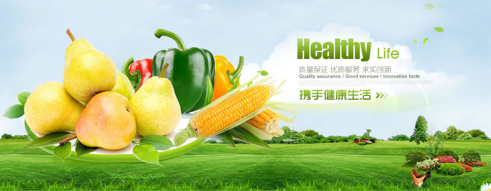 伍月网络科技(jhnbzjj.cn)